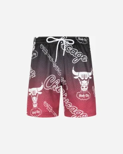 CHICAGO BULLS ENERGY M