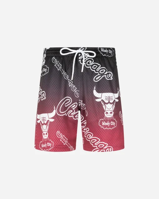 CHICAGO BULLS ENERGY M