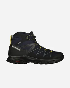 DAINTREE MID GTX M