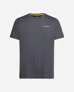 DAWN WALL M