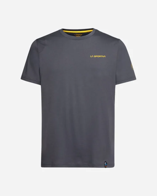 DAWN WALL M