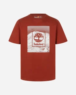GRAPHIC FRONT M