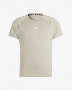 GYM+ M