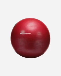 GYMBALL 55