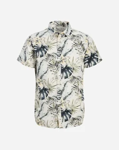HAWAII M