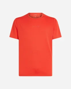 MODERN SPORT M
