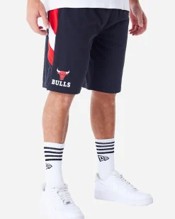 NBA PANEL OS BULLS M