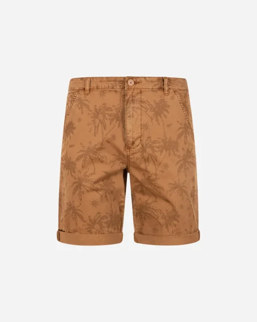 PALMS M