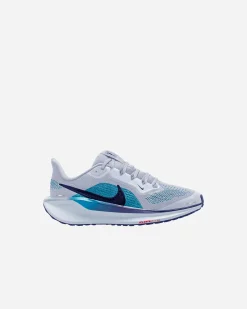 PEGASUS 41 JR