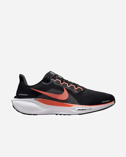 PEGASUS 41 M