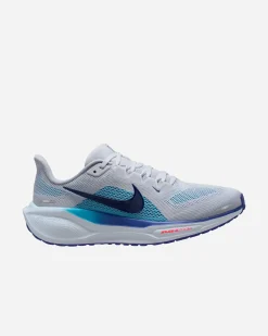 PEGASUS 41 M