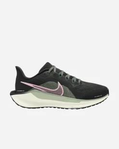 PEGASUS 41 W