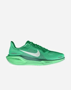 PEGASUS 41 W
