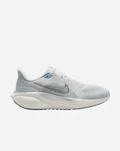PEGASUS 41 W
