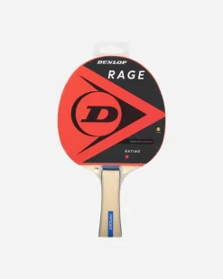 PING PONG RAGE