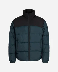 PUFFER COREANA M