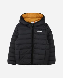 PUFFER JR