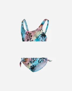 RAINBOW ANIMALIER JR