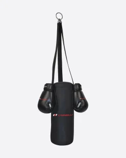 SET SACCO BOXE 5 KG+GUANTI JR