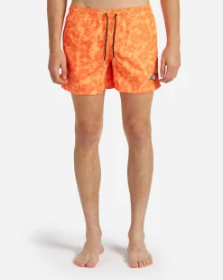SURF CONCEPT M