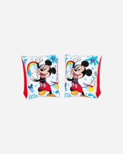 TOPOLINO & AMICI CM 23X15