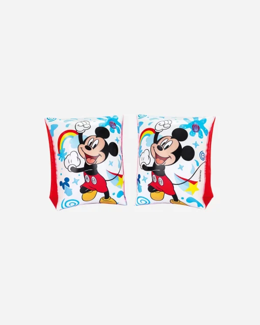 TOPOLINO & AMICI CM 23X15